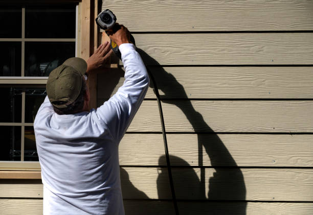 Best Vinyl Siding Installation  in Mount Dora, FL